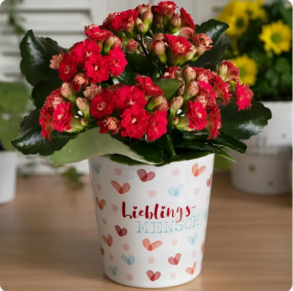 Blumenübertopf Lieblingsmensch